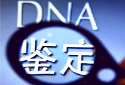 太原DNA鉴定到哪里，太原亲子鉴定需要多少钱