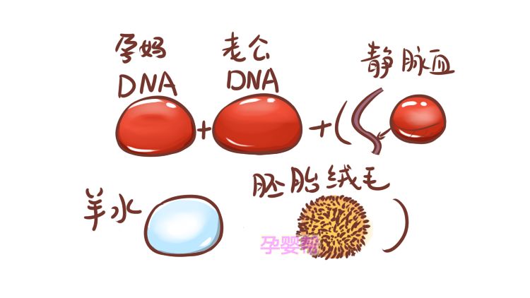 孕期能做DNA鉴定吗？不注意这点，易致胎儿流产！