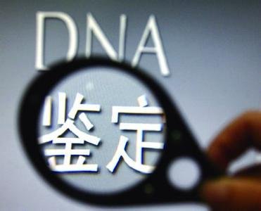 DNA亲子鉴定价格（DNA亲子鉴定需要多少钱？）