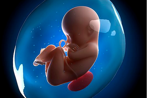 胎儿亲子鉴定需要多少钱（胎儿亲子鉴定的费用？）