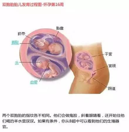 怀孕12周能做dna亲子鉴定吗（肚子里面的胎儿可以验DNA？鉴定样本是什么？）