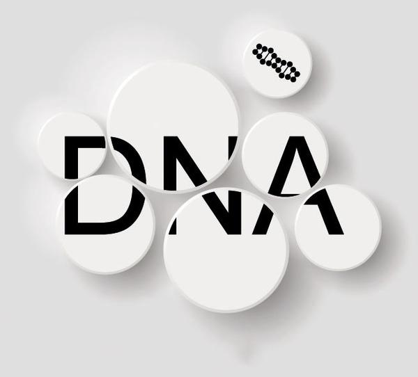亲子鉴定多少费用（做一次DNA亲子鉴定多少钱？）