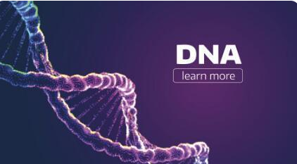 做亲子鉴定多少钱（做一次DNA亲子鉴定多少钱？）