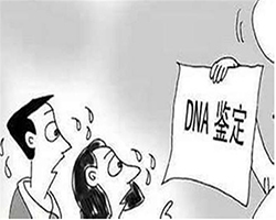 浙江省个人DNA亲子鉴定需要多少钱，浙江省隐私亲子鉴定怎么做