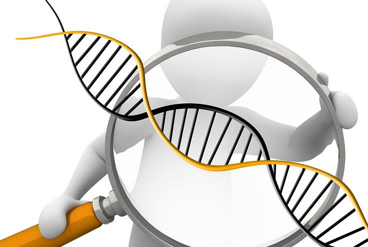 辽源DNA鉴定在哪里有,辽源亲子鉴定怎么收费