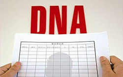 吉林省匿名DNA亲子鉴定是多少钱啊，吉林省隐私亲子鉴定需要什么手续
