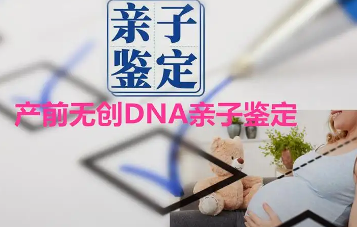 dna亲子鉴定